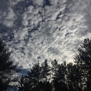 Meet your Posher, Quinn